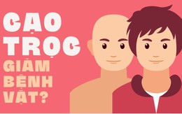 Cạo trọc sẽ giảm bị bệnh vặt?