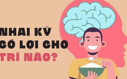 Nhai kỹ có lợi cho trí não?