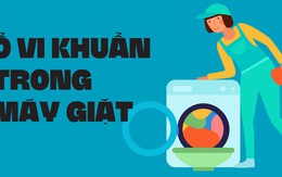 Máy giặt chứa một ổ vi khuẩn không kém toilet