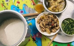 Vua Còm 1/12: Mặc công cha nghĩa mẹ, con ở nhà quên bấm nút nồi cơm