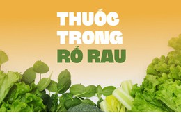 Thuốc trong rổ rau, ăn chơi chơi mà nên thuốc thật