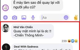 Vua Còm 26/12: Hiến kế xử lợn ỉ xứ Việt 'làm loạn' ở Puerto Rico