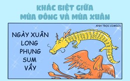 Khác biệt cơ bản giữa mùa đông và mùa xuân