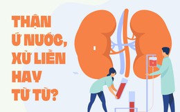 Thận ứ nước, xử liền hay từ từ?