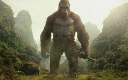 'Godzilla vs Kong’ - ‘Siêu bom tấn’ được mong chờ vũ trụ quái vật