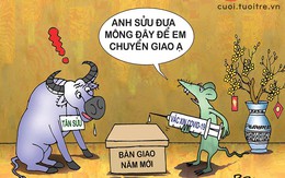 Canh Tý bàn giao hơi đau một tí