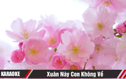 Netizen cùng góp giọng, 'Xuân này con không về' leo Top 5 trending