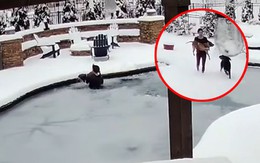 Cô chủ bất chấp trời mưa tuyết nhảy xuống hồ băng cứu chú chó