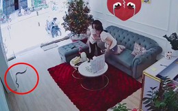 Hai cô gái tá hỏa khi rắn bò vào nhà