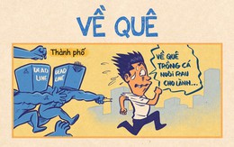 Về quê nuôi cá trồng rau có thể trốn được áp lực cuộc sống?