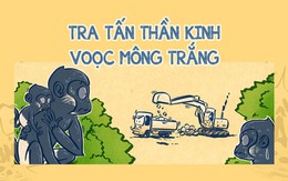 Voọc mông trắng sống trong rừng cũng chịu cảnh ô nhiễm tiếng ồn