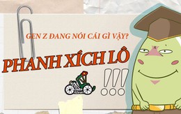 'Chắc là tụi nó đang... phanh xích lô nhau rồi!', ủa là gì thế ta?