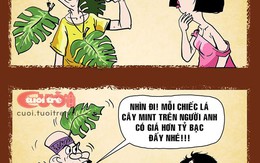 Quên lan Var đi, giờ là thời của dân chơi hệ lá cây