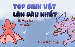 Bất ngờ với top 5 sinh vật lặn sâu nhất thế giới