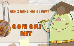 'Còn cái nịt' là gì?