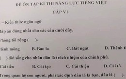 Vua Còm 22/5: Đề thi tiếng Việt 'hại não' cho người Nhật