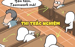 Bài thi trắc nghiệm 'con gà quả trứng'