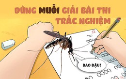 Dùng muỗi giải bài thi trắc nghiệm - Xu hướng thuận tự nhiên