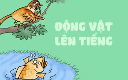 Động vật phóng sinh lên tiếng