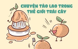 Chuyện tào lao trong thế giới trái cây