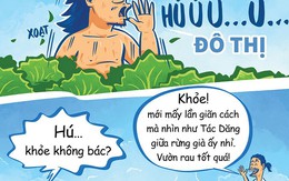 Hú hồn với chàng Tarzan đô thị