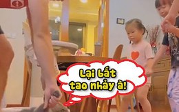 Chú mèo nổi quạu khi bị sen kéo ra chơi trò nhảy vòng tròn