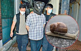 Nghiên cứu sinh ngược đãi ốc sên đối mặt khoản tiền phạt 25.600 USD