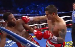 Võ sĩ chưa đánh đã thích hổ báo bị hạ knock-out