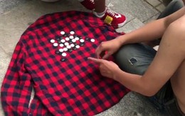 Ảnh vui 17/12: 3 chú chó siêu to 'xin đi nhờ taxi'