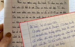 Bài văn tả hàng xóm 'có 10-15 chiếc tóc', cô giáo như 'cây đa'