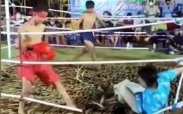 2 võ sĩ boxing bịt mắt đánh trọng tài lên bờ xuống ruộng