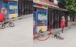 Cô gái mặc váy đỏ chạy xe đạp bị chó rượt chạy trối chết