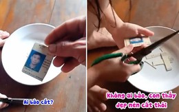 Con gái lấy kéo cắt bằng lái xe của bố để lấy hình 3x4