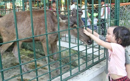 Vườn thú 30 năm tuổi, vẫn phải giải thể vì ngày càng teo tóp