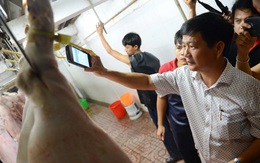 'Thất thủ' truy xuất nguồn gốc heo, sở lại ra 'tối hậu thư'