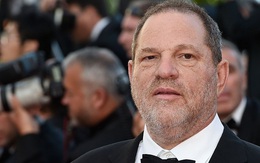 Harvey Weinstein từng tuyệt vọng cầu cứu Hollywood