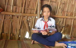 Tuổi thơ một buổi bán cá một buổi đến trường