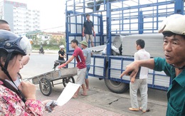 Vùng bão khan hiếm tấm lợp, chính quyền quyết không để giá tăng cao