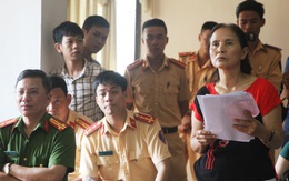Bác đơn kháng cáo vụ tài xế kiện công an phạt xe quá tải