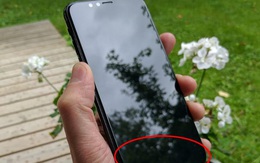 Rò rỉ tin màn hình iPhone 9 có kích thước 6,46 inch