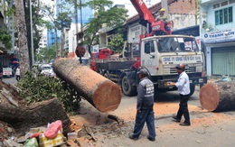 Mưa đêm, sấm chớp nhiều có bất thường?