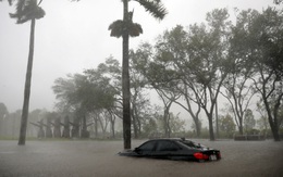 Bão Irma và Harvey thổi bay hàng chục tỉ đô