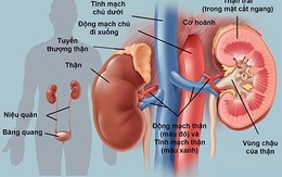 Các biện pháp phòng ngừa suy giảm chức năng thận