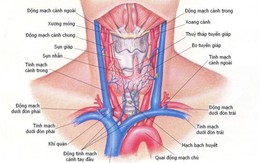 Những bệnh thường gặp của tuyến giáp