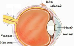 Viêm màng bồ đào: nguyên nhân, triệu chứng và cách phòng