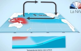 La Nina sẽ xuất hiện ở khu vực Thái Bình Dương trong năm nay