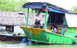 Khám phá thành phố từ hướng sông