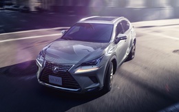 Lexus NX 300 bán giá 2,4 tỉ đồng