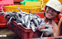 Làng binh phu