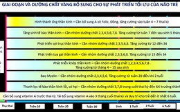 Dinh dưỡng vàng cho phát triển tối ưu não bộ những năm tháng đầu đời